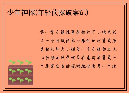 少年神探(年轻侦探破案记)